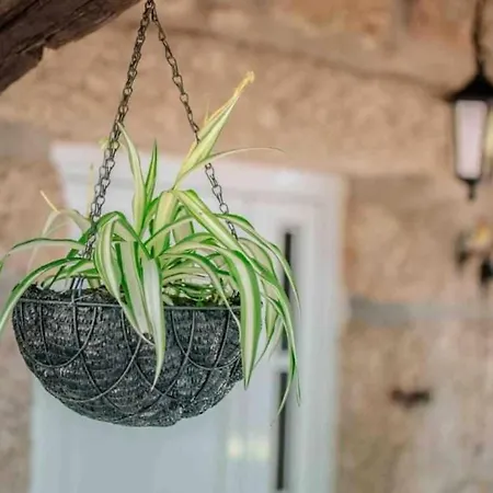 Quinta Vale De Frades * Torrão