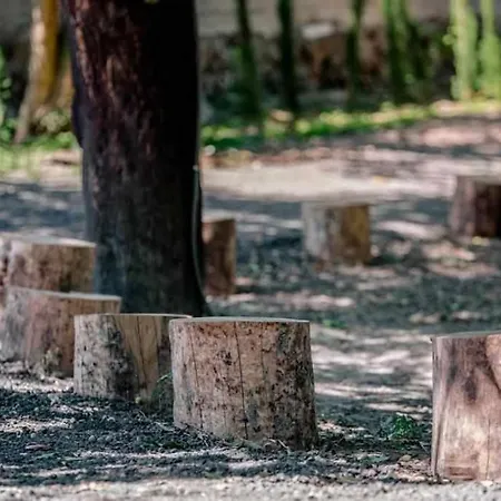 Quinta Vale De Frades