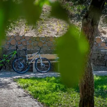 Quinta Vale De Frades