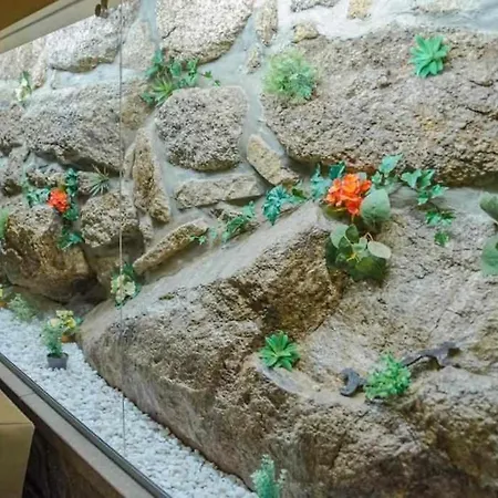 Quinta Vale De Frades * Torrão