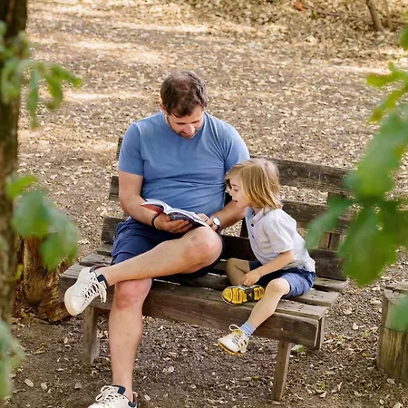 Quinta Vale De Frades Landsted Torrão