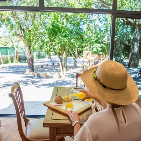 Quinta Vale De Frades Torrão