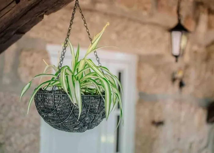 Quinta Vale De Frades * Torrão