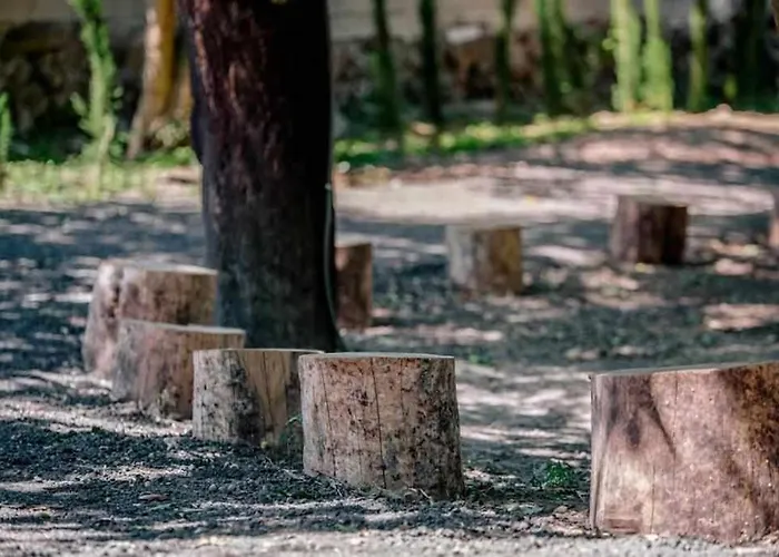 Quinta Vale De Frades