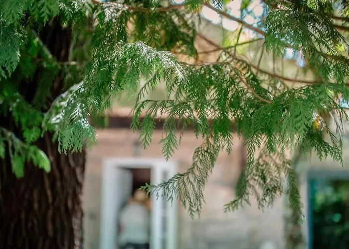 Quinta Vale De Frades