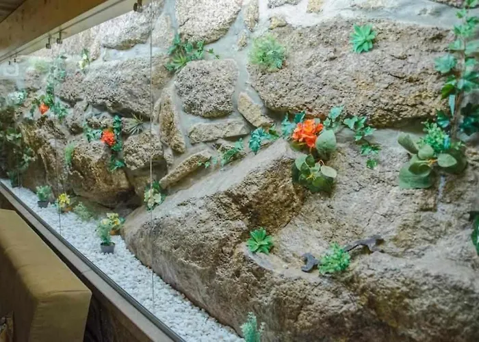 Quinta Vale De Frades * Torrão